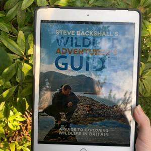 February Book Review February Book Review