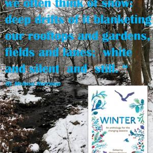 December book review December book review