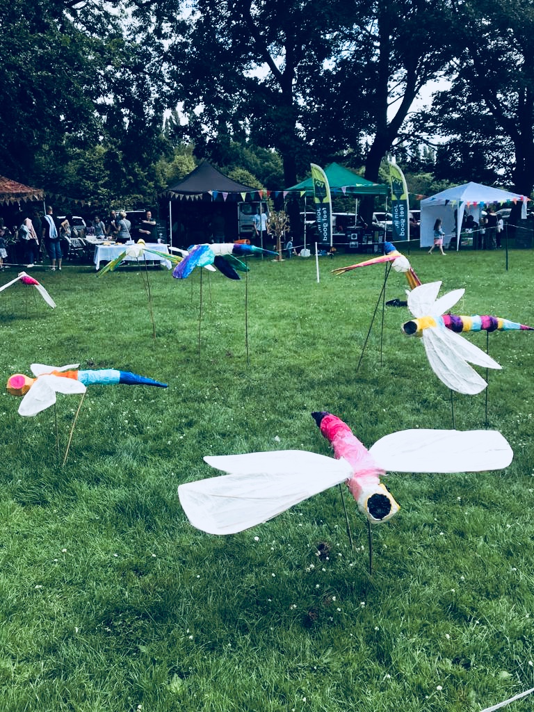 Dragonfly Festival Carbon Landscapes