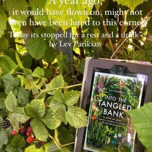 Book highlight of the month is ‘Into the tangled bank’ by Lev Parikian